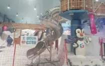 Custom Stainless Steel Slide For Snow World,Saudi Arabia