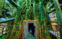 Qishan Zhou Culture Children’s Park