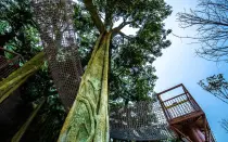Qishan Zhou Culture Children’s Park