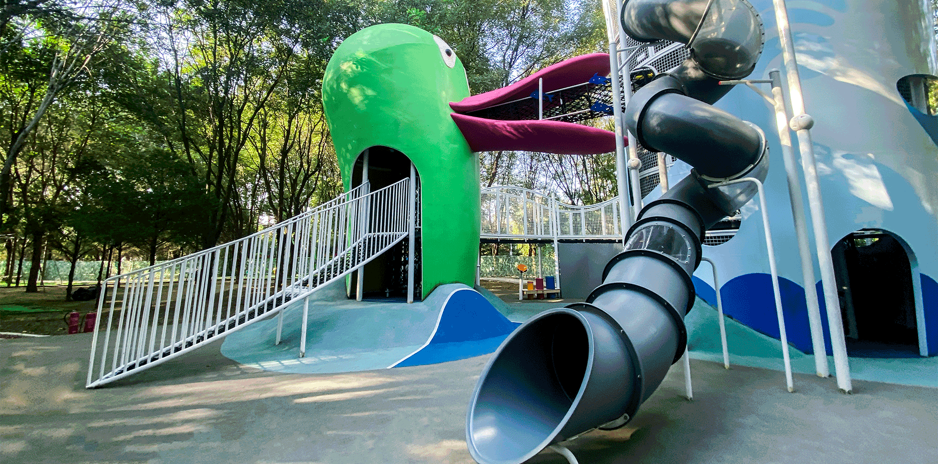 OLA Duck Outdoor Playground